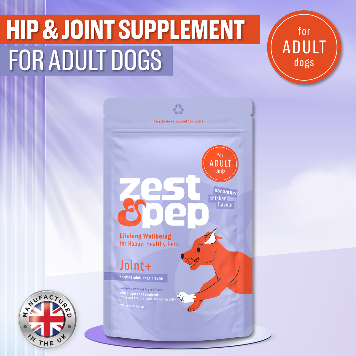 Joint+ Supplement For Adult Dogs