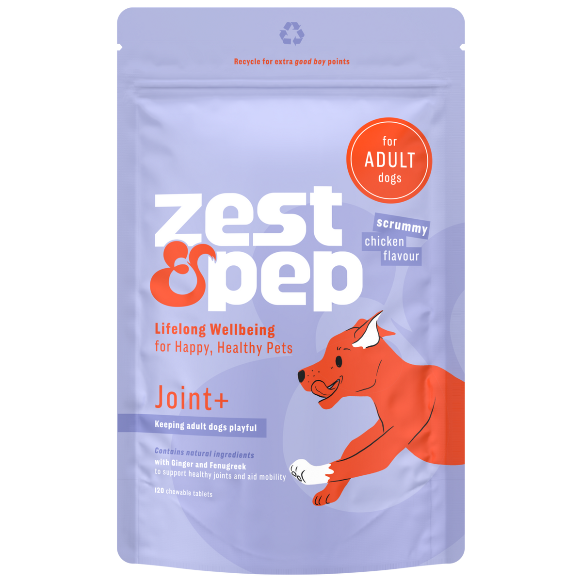 Joint+ Supplement For Adult Dogs