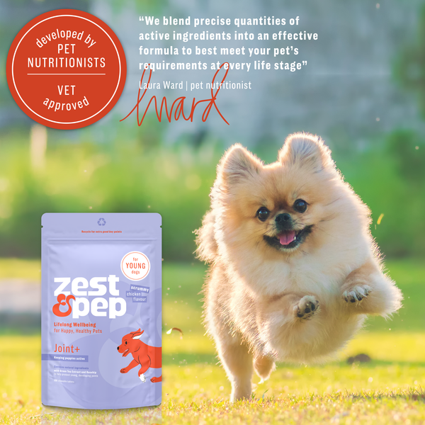 Joint+ Supplement For Young Dogs Zest & Pep