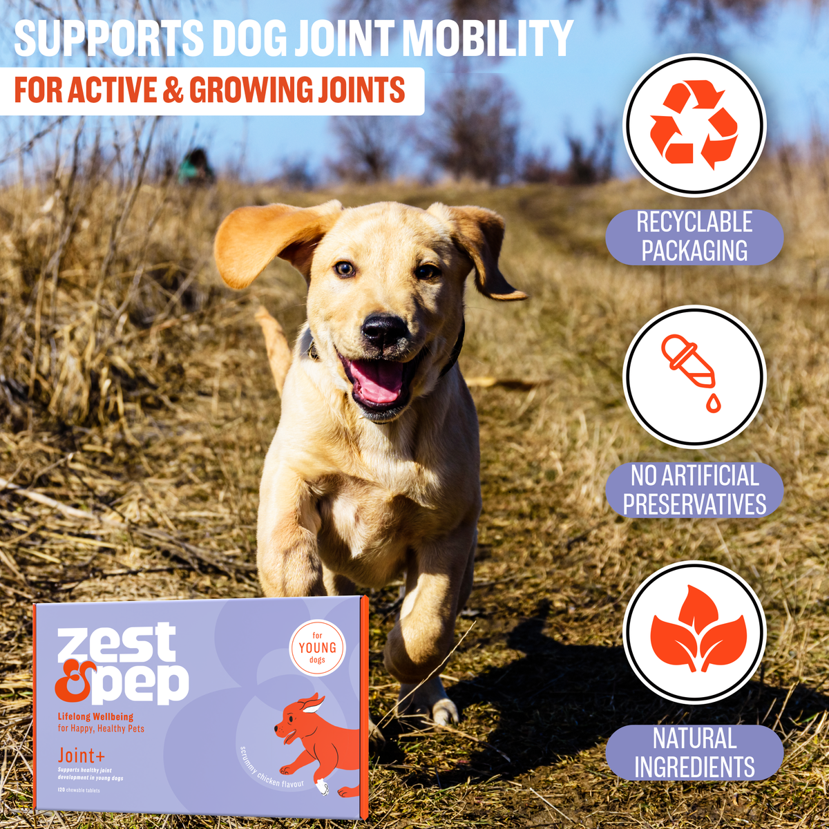 Joint+ Supplement For Young Dogs