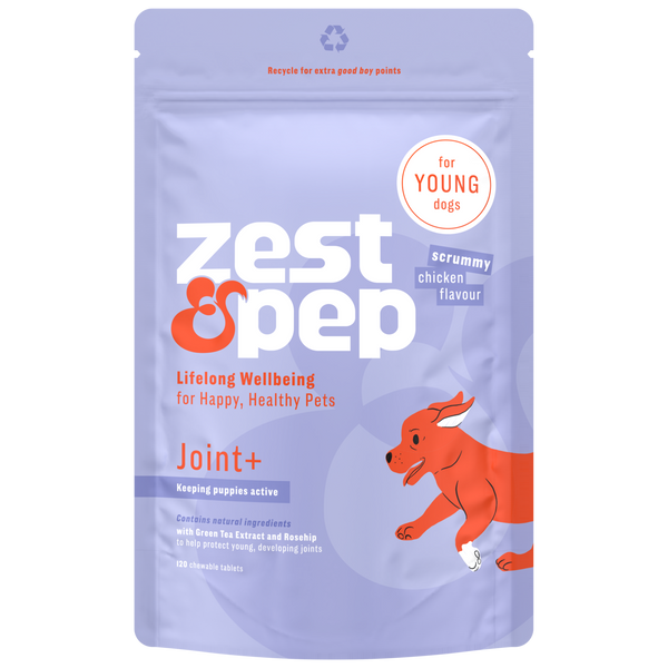 YoungDogJointPouchFrontPNG_600