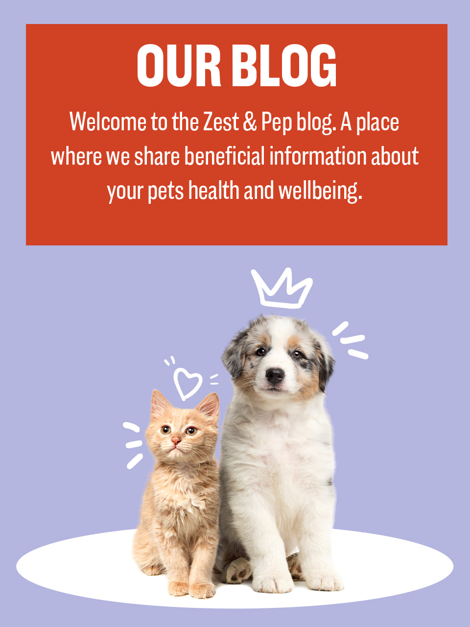 Pet Parent Corner - Zest & Pep