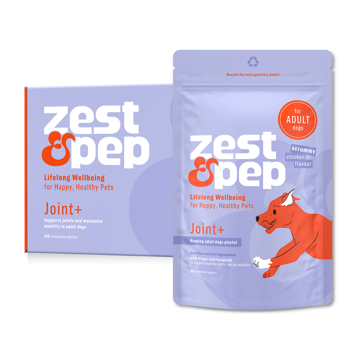 Joint+ Supplement For Adult Dogs