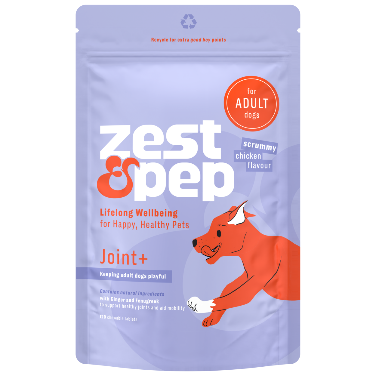 Joint+ Supplement For Adult Dogs