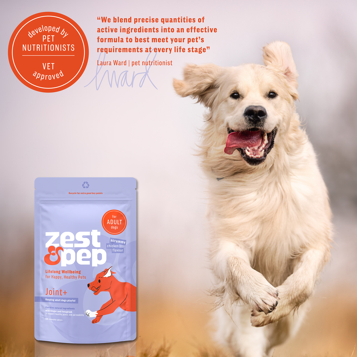 Joint+ Supplement For Adult Dogs