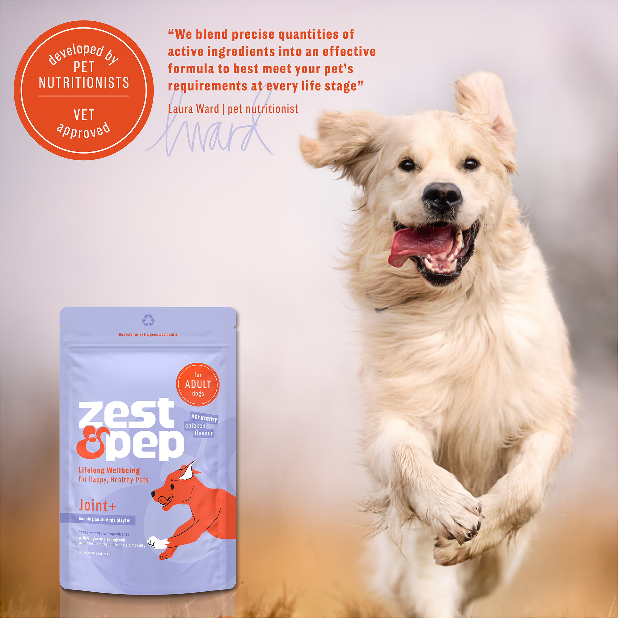 Precise naturals best sale dog food