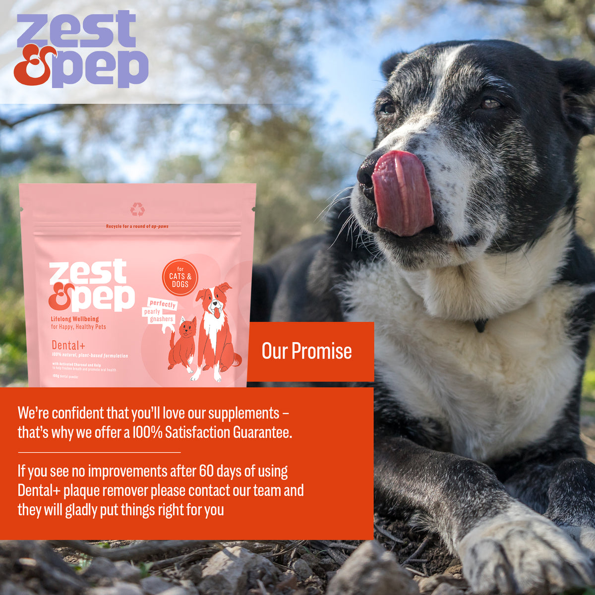 Dental+ Powder For Cats &amp; Dogs