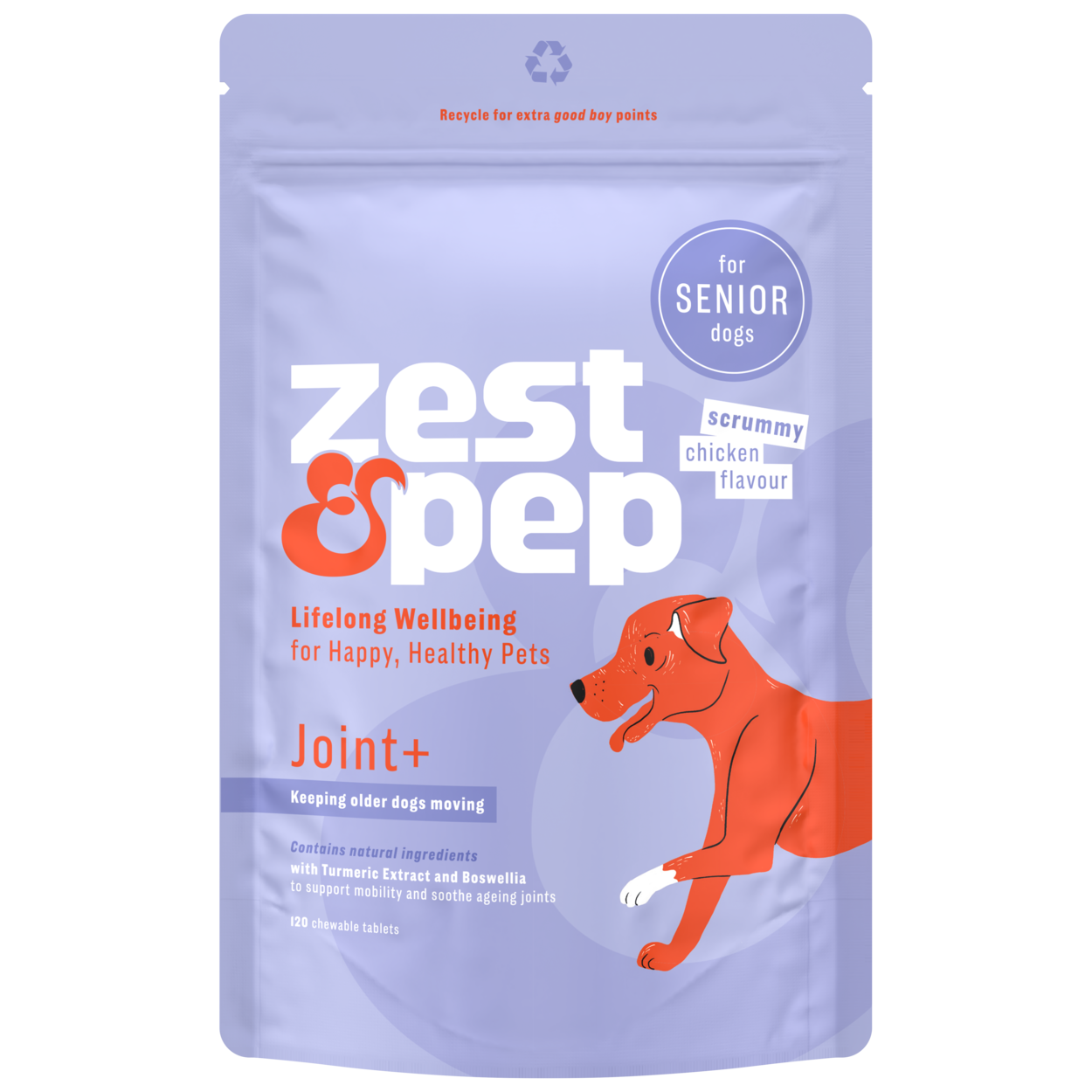 Older dog joint supplement best sale